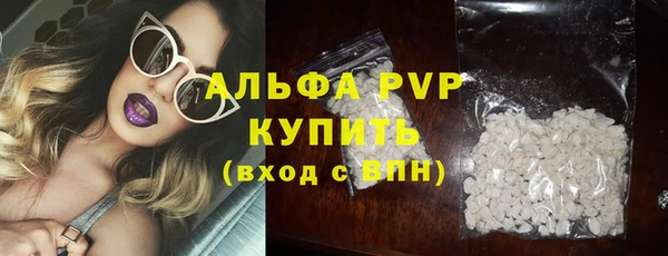 apvp Верея