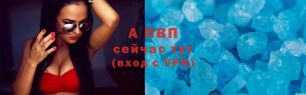 apvp Верея