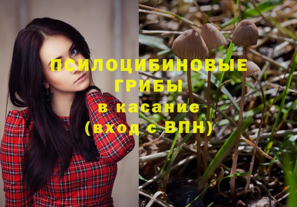 СК Верхний Тагил
