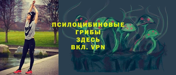 apvp Верея